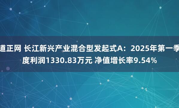 道正网 长江新兴产业混合型发起式A：2025年第一季度利润1330.83万元 净值增长率9.54%