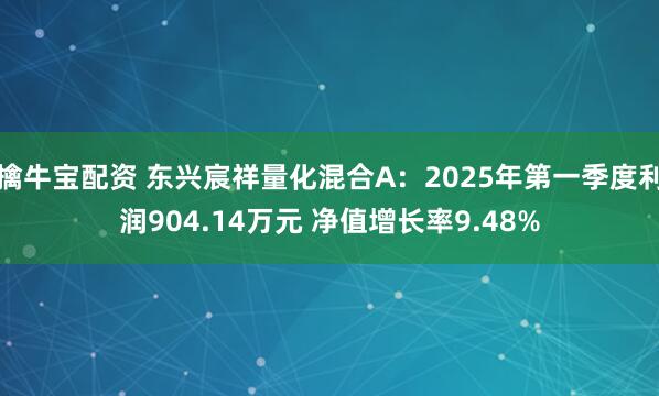 擒牛宝配资 东兴宸祥量化混合A：2025年第一季度利润904.14万元 净值增长率9.48%