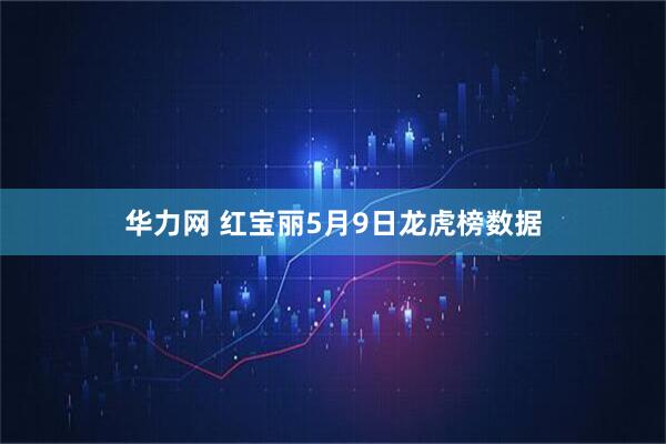华力网 红宝丽5月9日龙虎榜数据