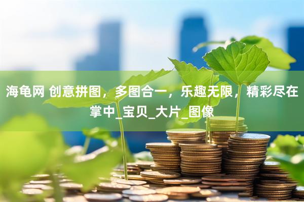 海龟网 创意拼图，多图合一，乐趣无限，精彩尽在掌中_宝贝_大片_图像