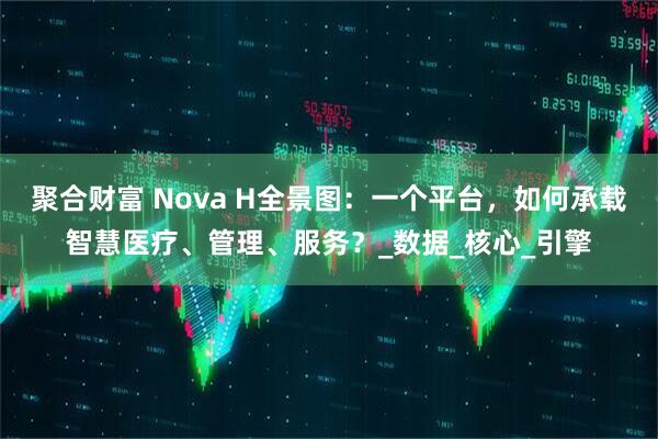 聚合财富 Nova H全景图：一个平台，如何承载智慧医疗、管理、服务？_数据_核心_引擎