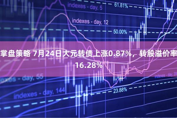 掌盘策略 7月24日大元转债上涨0.87%，转股溢价率16.28%
