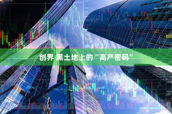 创界 黑土地上的“高产密码”